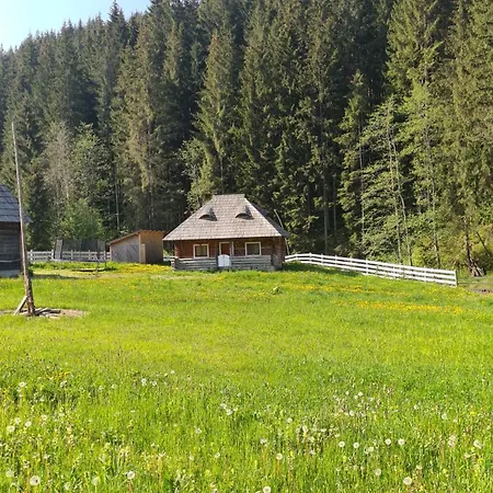 Pastravului 木屋 Izvoarele Sucevei